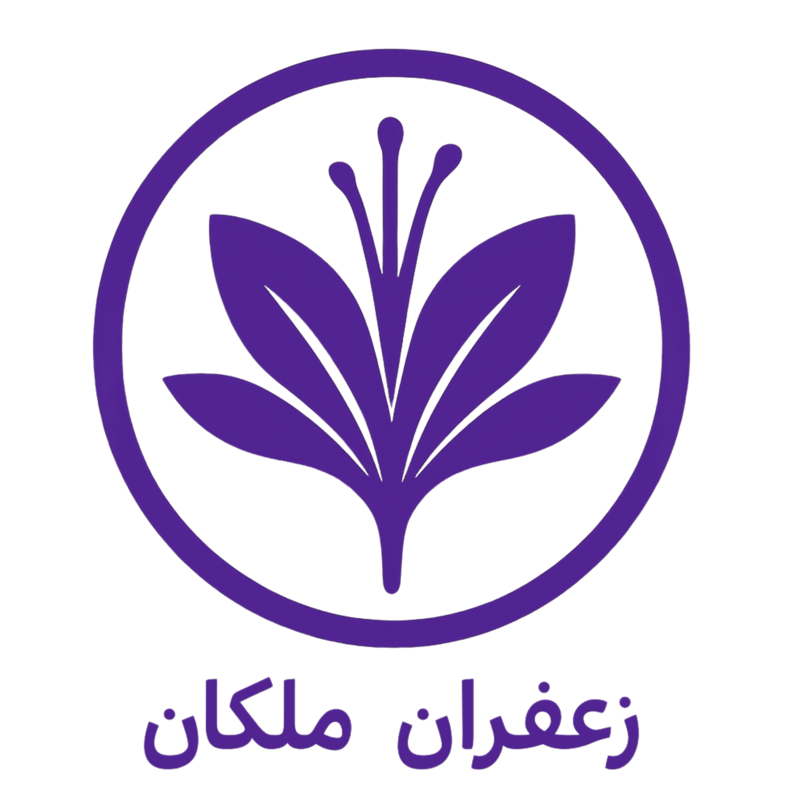 فروشگاه اینترنتی زعفرانی ملکان